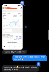 The Brand Mastery Mentorship (Product line program)