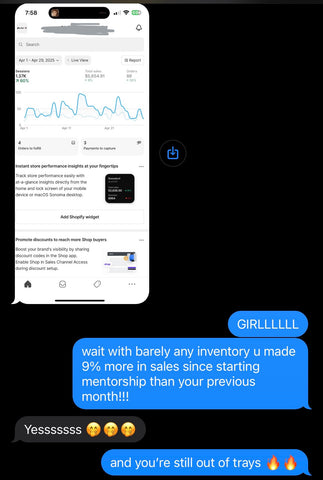 The Brand Mastery Mentorship Program