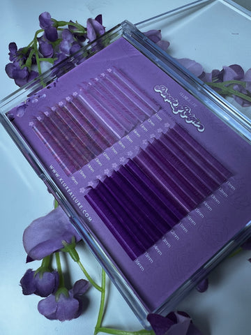 “Purple Reign” Purple Color-way collection